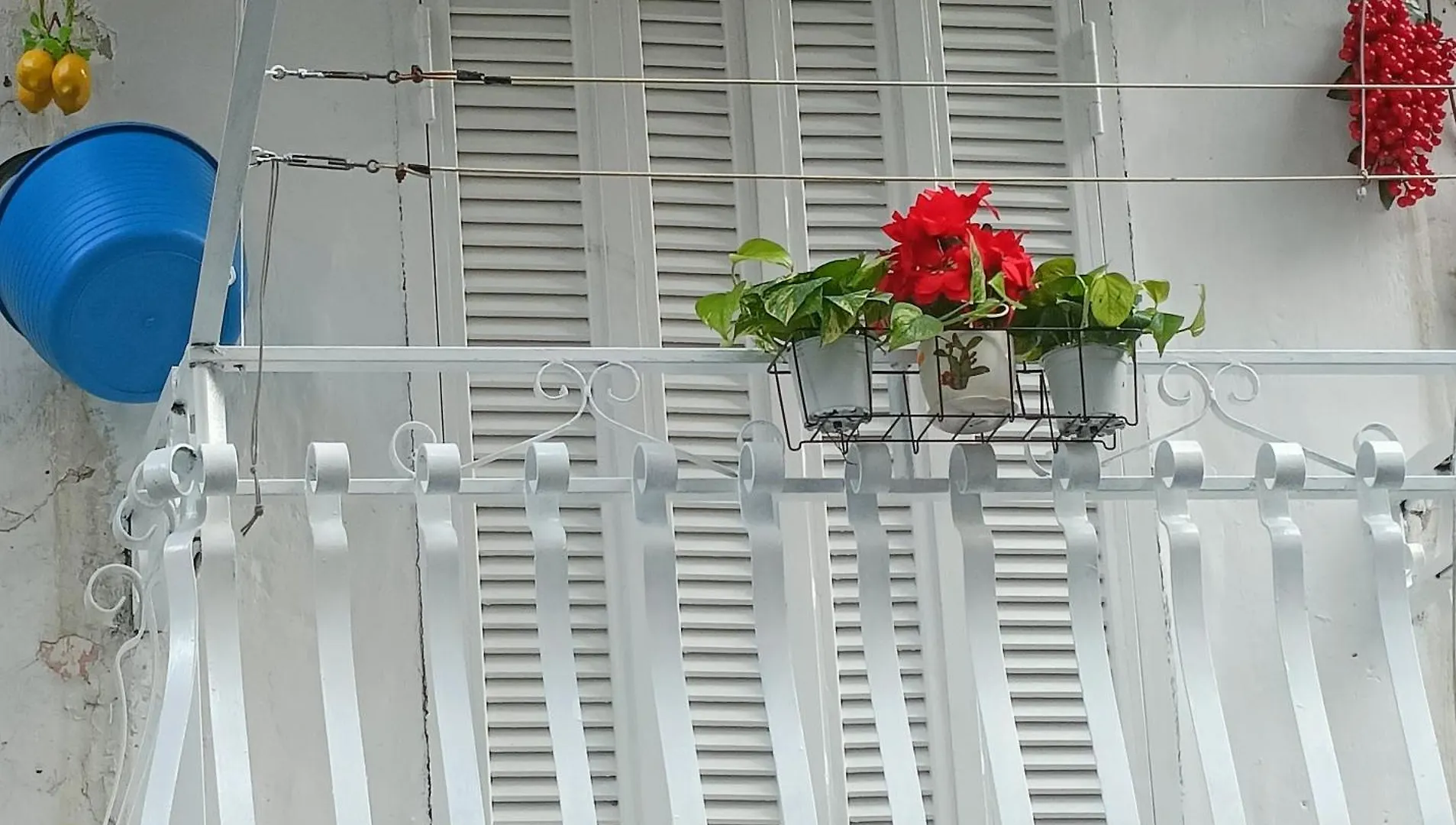 Domus Dante Al Balconcino Apartment Naples